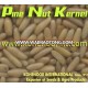 Fine Quality Pine Nuts